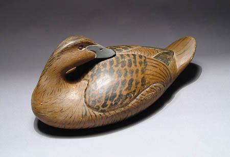 Appraisal: CARVED PREENING EIDER DECOY BY GRAYSON CHESSER This wonderful stylistic