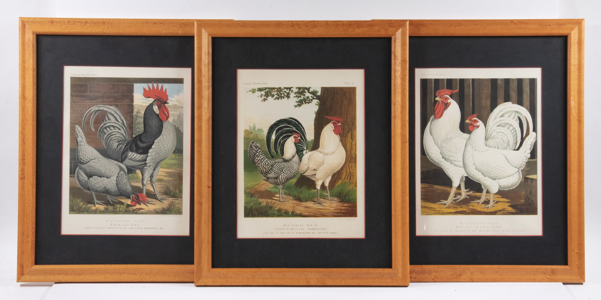 Appraisal: JOSEPH W LUDLOW UK - English Chromolitho Chicken Rooster Prints