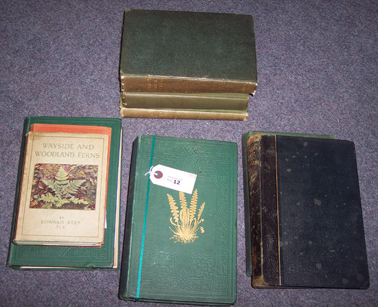 Appraisal: Lowe E J Our Native Ferns two volumes with colour