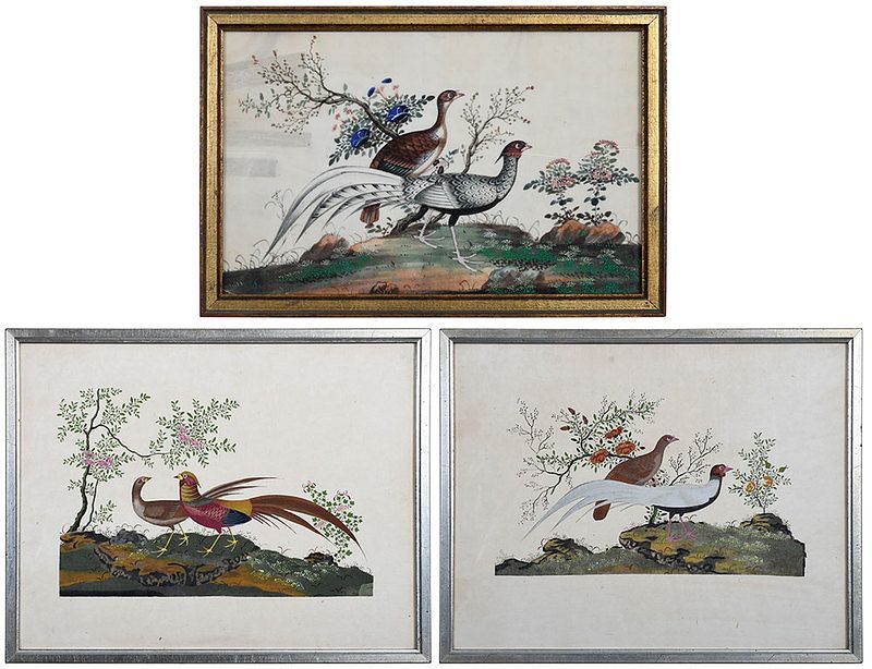 Appraisal: Three Chinese Export Paintings of Exotic Birds Qing dynasty watercolor