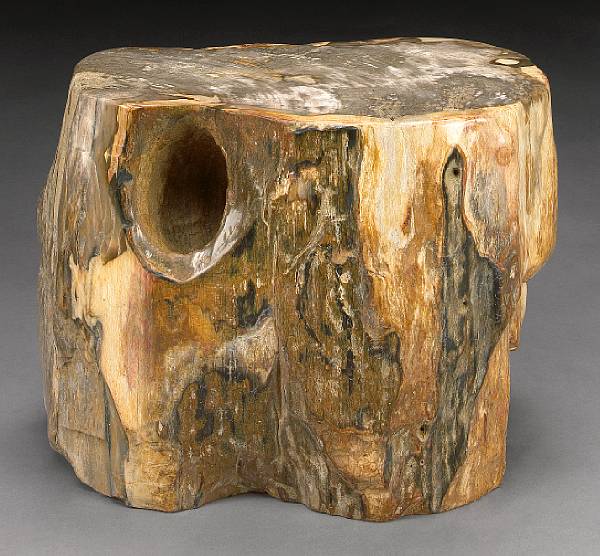 Appraisal: Irregularly Shaped Petrified Wood Stump Indeterminate species Miocene Indonesia A