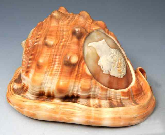 Appraisal: A CARVED SHELL th Century with cameo profile head