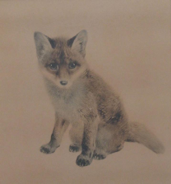 Appraisal: ENGLISH SCHOOL th century A study of a young fox