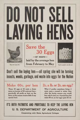 Appraisal: ANONYMOUS DO NOT SELL LAYING HENS x inches x cm