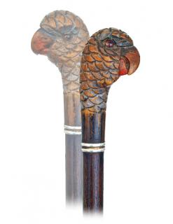 Appraisal: Parrot Head Dress Cane - th Century -Well carved hardwood