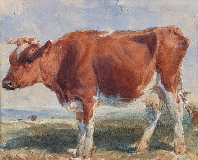 Appraisal: HENRY BRITTAN WILLIS - An Ayrshire cow watercolour signed with