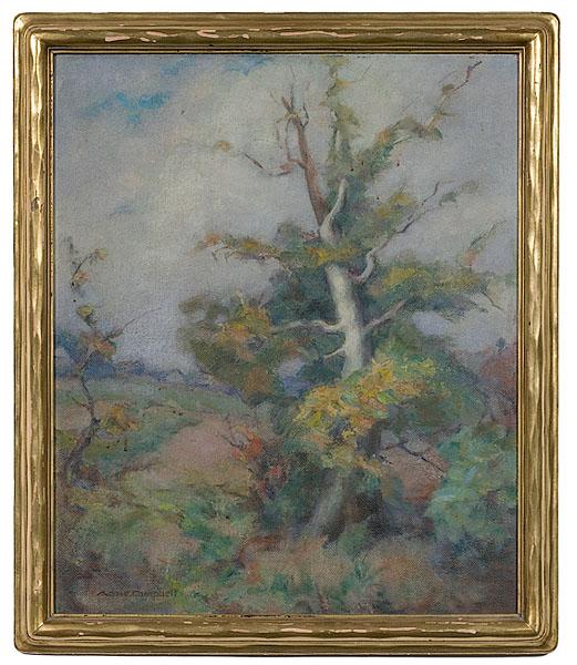 Appraisal: THE SYCAMORE BY ANNIE CAMPBELL AMERICAN OHIO - Oil on