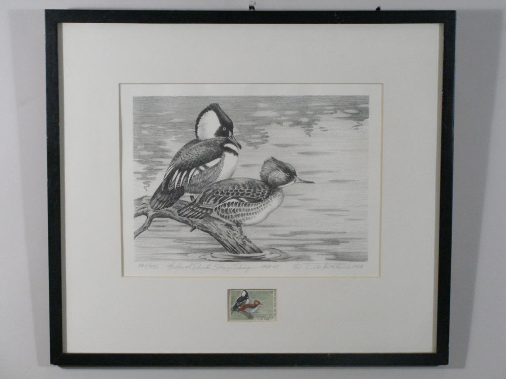 Appraisal: Federal Duck Stamp Print Stamp by Pritchard stone lithograph Hooded