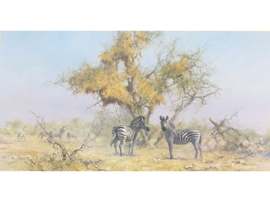 Appraisal: AFTER DAVID SHEPHERD Zebras and Colony Weavers colour print pencil