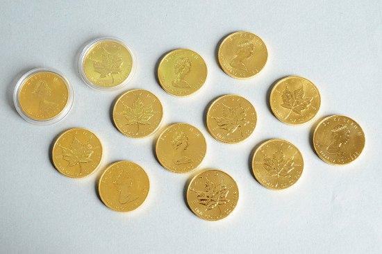 Appraisal: Thirteen Canadian Gold Maple Leaf oz bullion coins various dates