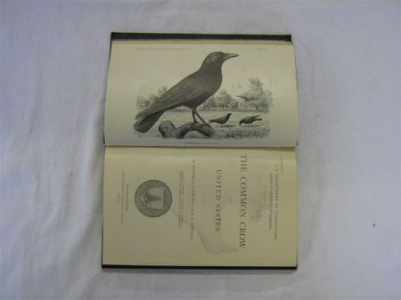 Appraisal: WALTER B BARROWS AND E A SCHWARZ THE COMMON CROW