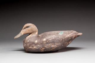 Appraisal: Black Duck by Dave Umbrella Watson Dave Umbrella Watson -