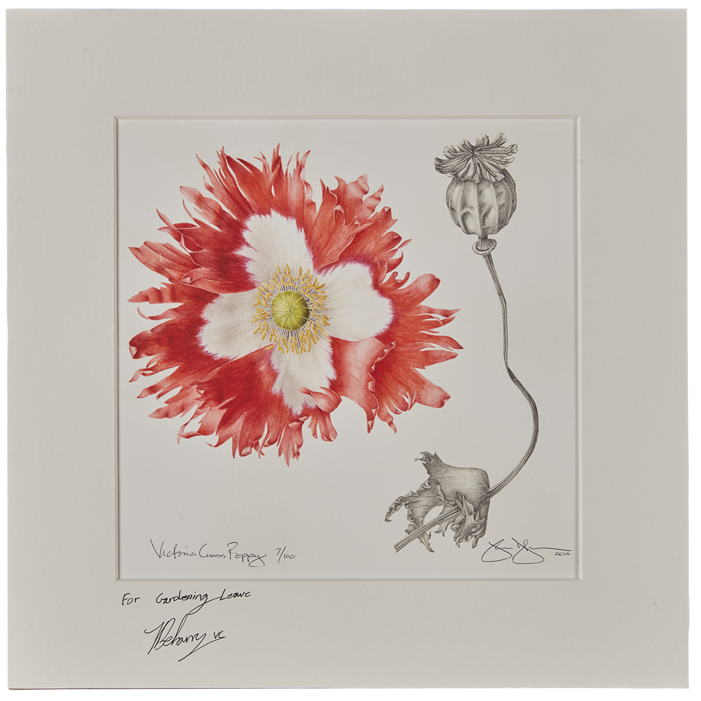 Appraisal: JEANNE DEBONS AMERICAN CONTEMPORARY PAPAVER SOMNIFERUM VICTORIA CROSS POPPY signed