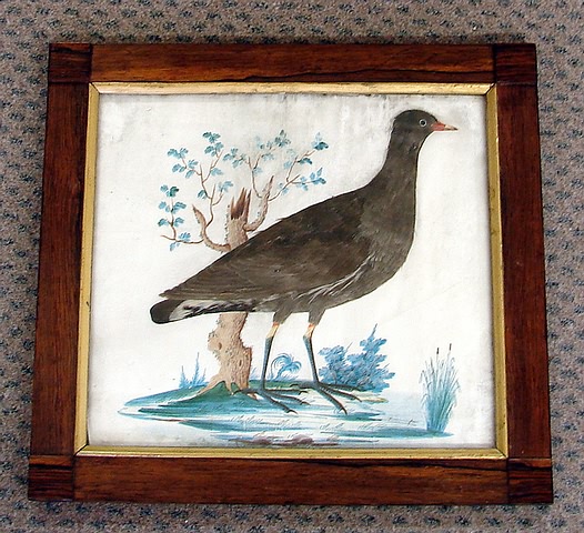 Appraisal: Watercolor background landscape bird with gray feathers x sight rosewood