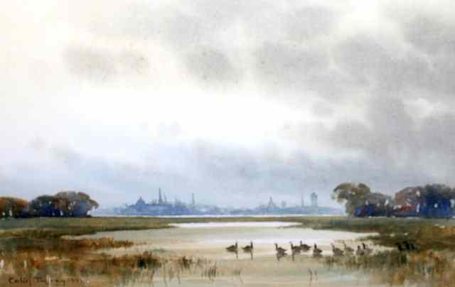 Appraisal: Colin Tuffrey th Century Canada geese at Port Meadow Oxford