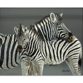 Appraisal: Janson Turner American th Century Oil on Canvas Two Zebras