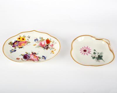 Appraisal: A Derby shell-shaped botanical dish with 'Wooly Cineraria' and a