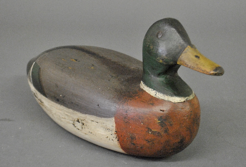 Appraisal: - Shourds Family mallard drake decoy c h x l