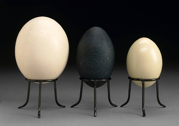 Appraisal: Collection of Three Eggs - Ostrich Emu and Rhea Struthio