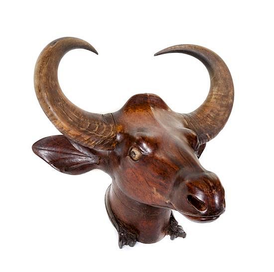 Appraisal: A Carved Wood Water Buffalo Mount Height x width x