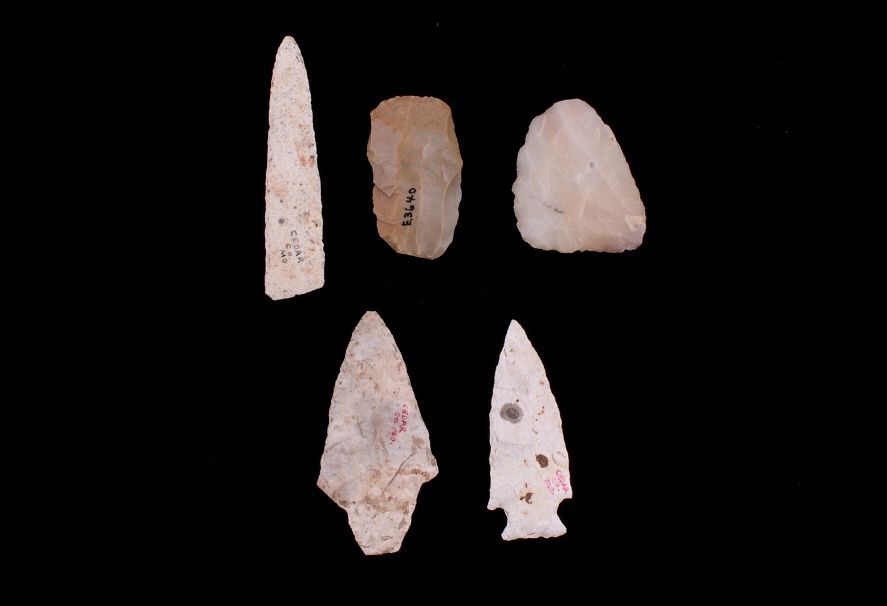 Appraisal: Early Archaic Period Scraper Point Collection For your consideration is