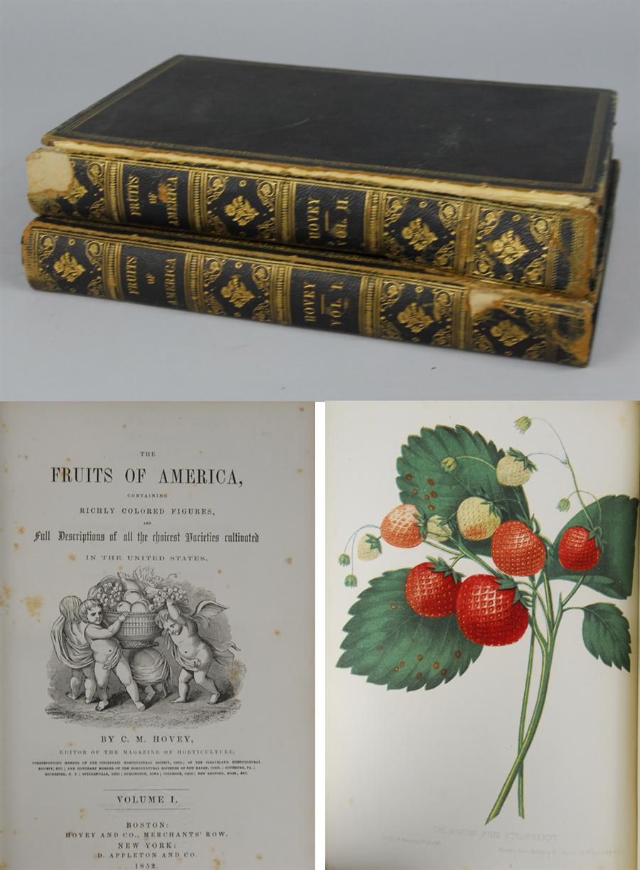 Appraisal: HORTICULTURAL BOOK HOVEY CHARLES MASON THE FRUITS OF AMERICA CONTAINING