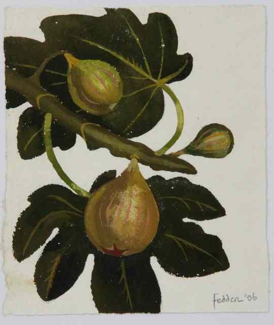 Appraisal: Mary Fedden ARR Study of Figs on the Branch signed