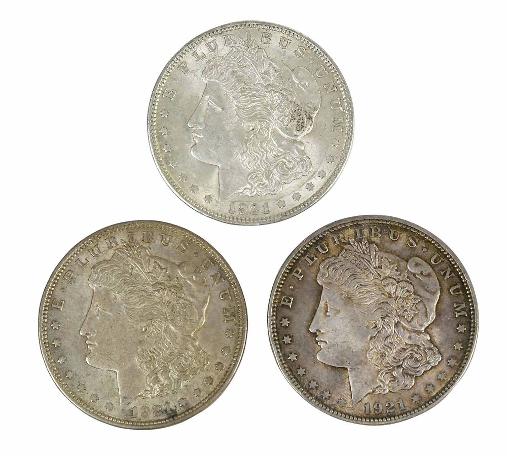 Appraisal: Over Silver Morgan Dollars Dated fineness Provenance From the Estate