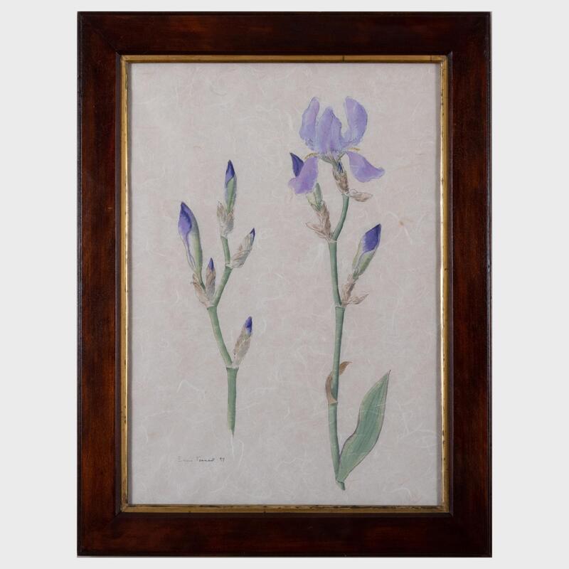 Appraisal: Lady Emma Tennant b Irises Watercolor on fiber paper signed