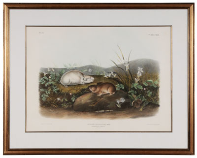 Appraisal: After John James Audubon New York - Hudsons Bay Lemming