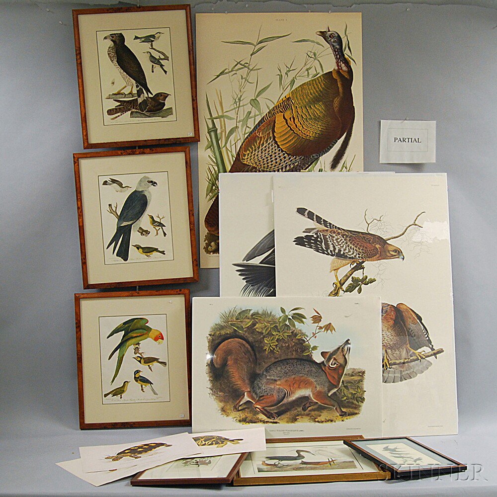 Appraisal: Group of Reproduction Audubon and Other Bird Prints including a