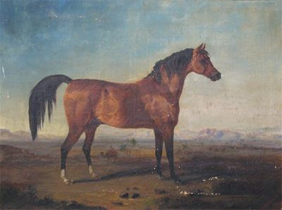 Appraisal: J A Marjoribanks late th Century A bay horse in