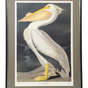 Appraisal: After James Audubon American White Pelican Plate CCCXI Later Printing