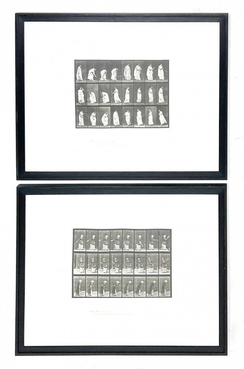 Appraisal: Eadweard MuybridgeEnglish-American - Animal Locomotion Plate and Plate collotypeimage x