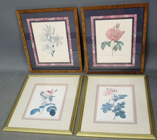 Appraisal: Four framed botanical prints Approx x each