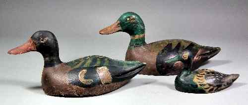 Appraisal: Three French painted wood decoy ducks - Drake ins high