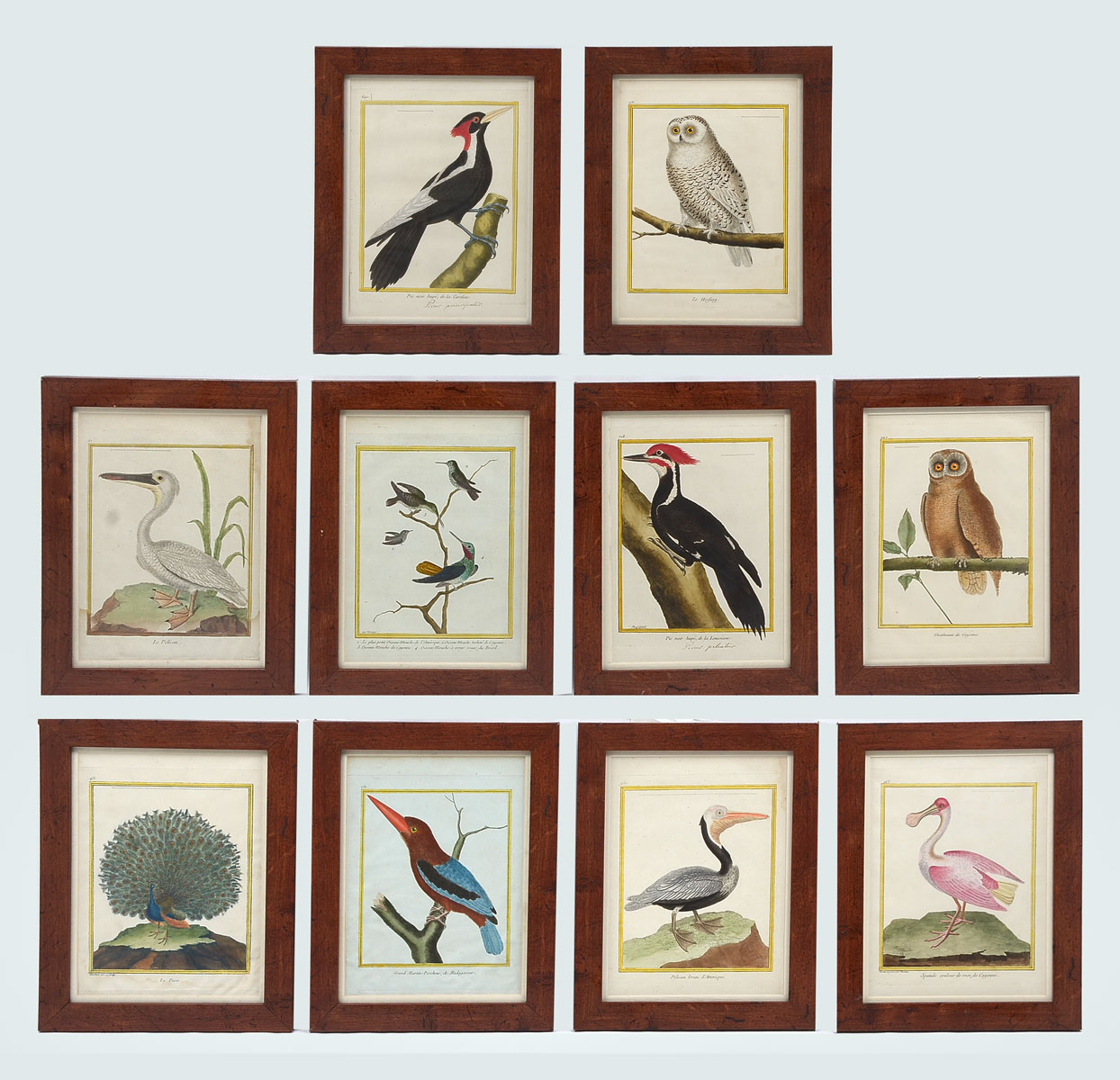 Appraisal: FRANCOIS MARTINET COLORED ENGRAVINGS OF BIRDS '' x '' matching