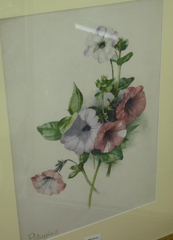 Appraisal: By Alice Price th century - 'Chrysanthemum' and 'Petunias' still