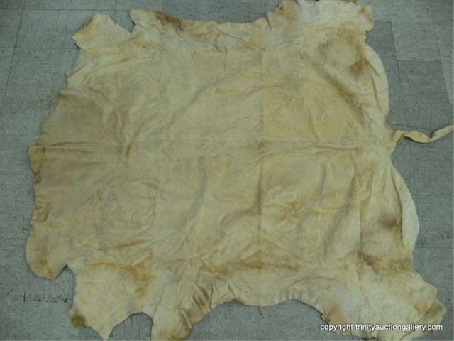 Appraisal: Tanned Cow Hide Rug - Wall Hanging blonde Brahma Cow