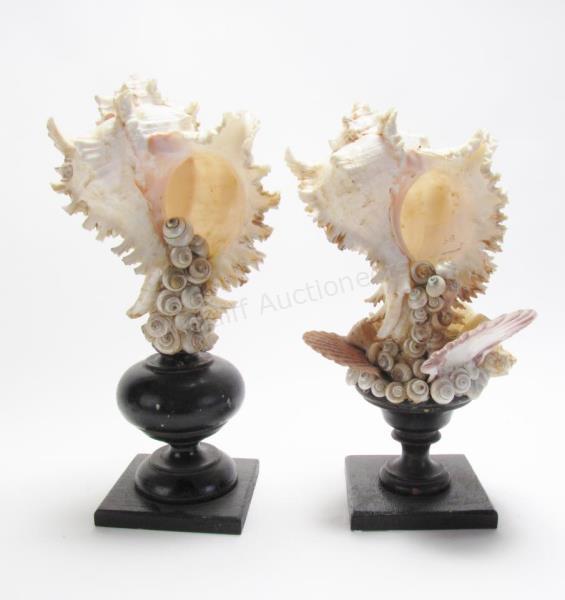 Appraisal: Pair of Conch Shell Art Pedestals mounted vertically multi shell