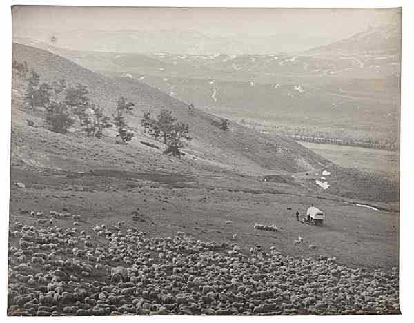 Appraisal: Charles J Belden Photograph of a Sheep Camp Silver gelatin