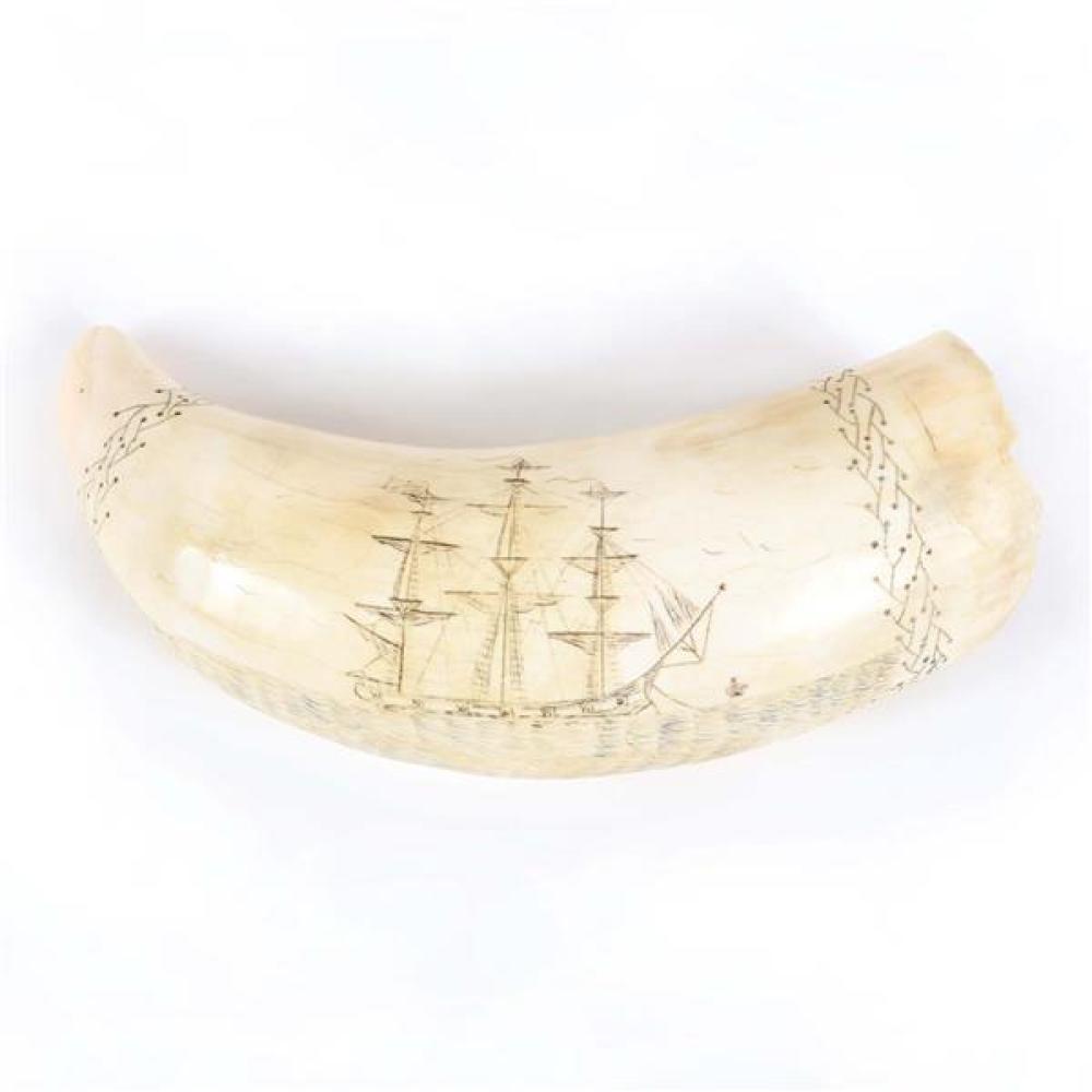 Appraisal: SPERM WHALE TOOTH WITH WHALING SHIP AND HARPOON SCRIMSHAW DECORATION