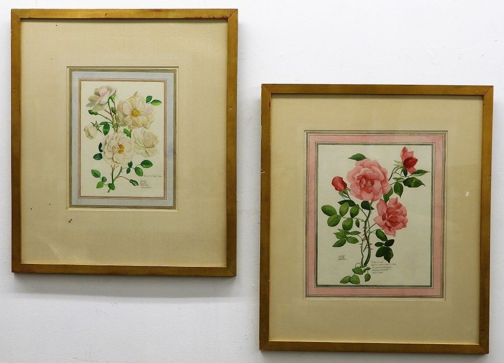 Appraisal: PR Herbert Marsden Botanical Watercolor Paintings United States Dated Two