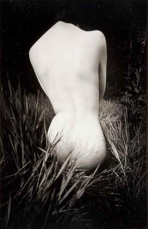 Appraisal: John Blakemore b Untitled Nude Two gelatin silver prints both