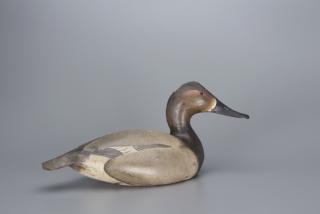 Appraisal: The McCleery Ward Canvasback Hen The Ward Brothers The McCleery