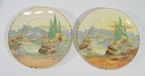 Appraisal: Two Royal Doulton Seriesware plates decorated with 'Woddley Dale'