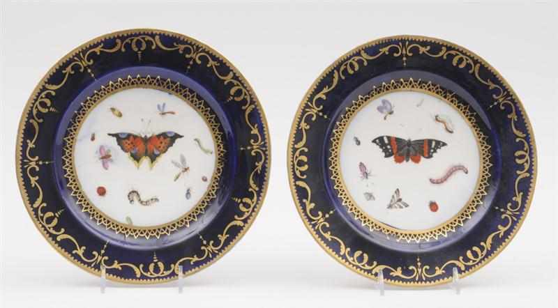 Appraisal: PAIR OF ENGLISH PORCELAIN PLATES Each with butterfly and insect