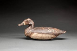 Appraisal: Canvasback Hen Ira D Hudson - Chincoteague VAc This classic