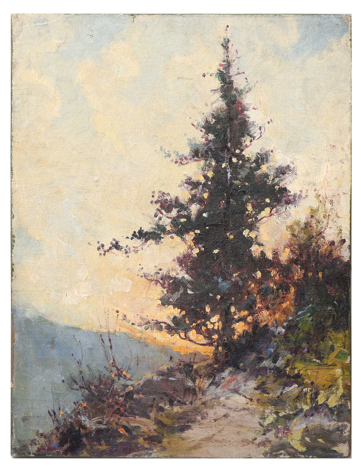 Appraisal: EXCEPTIONAL IMPRESSIONIST STUDY OF A PINE TREE PAINTING Oil Canvasboard