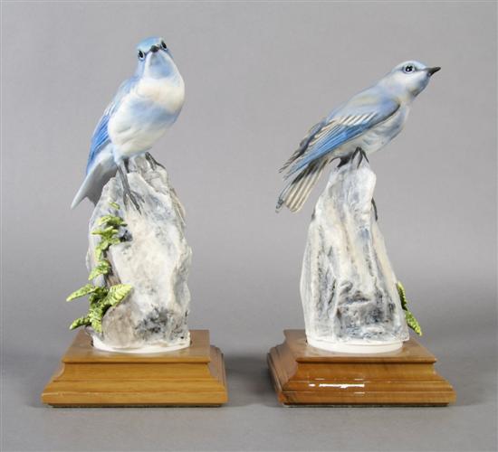 Appraisal: A Pair of Royal Worcester Dorothy Doughty Birds Mountain Bluebirds